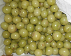 Amla