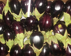 Aubergines