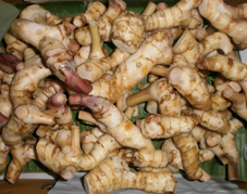 Galangal	
