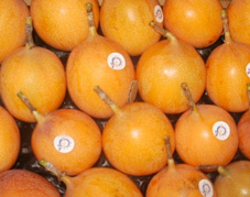 Granadilla
